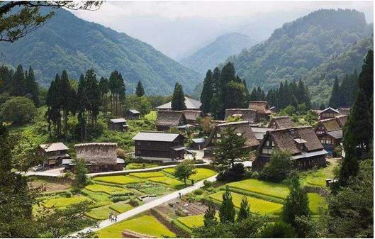 國務院：推動貧困地區(qū)產(chǎn)品和服務融入全國大市場，助力打贏脫貧攻堅戰(zhàn)、推進實施鄉(xiāng)村振興戰(zhàn)略?