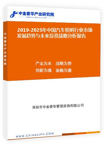 2019-2025年中國汽車照明行業(yè)市場發(fā)展趨勢(shì)與未來投資戰(zhàn)略分析報(bào)告